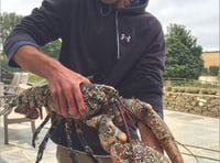 Joe lands biggest lobster in nearly a century and names him Lionel