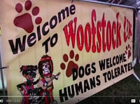 WATCH: Dartmouth Woofstock given the go-ahead