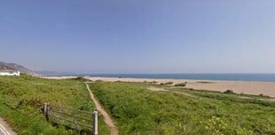 The first South Hams beach clean of the year