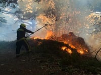 Fire service issues disposable barbecue warning