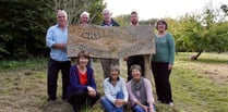 Chilli Wood Voles in search for volunteers