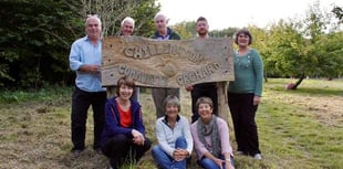 Chilli Wood Voles in search for volunteers