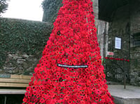 Knitters create stunning poppy display