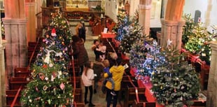 Tree festival lights up St Peter's Church