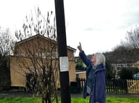 Residents complain about "ugly" poles