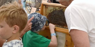 Popular agricultural show returns after covid break