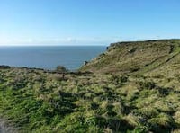 A chance to visit a Bolberry dig