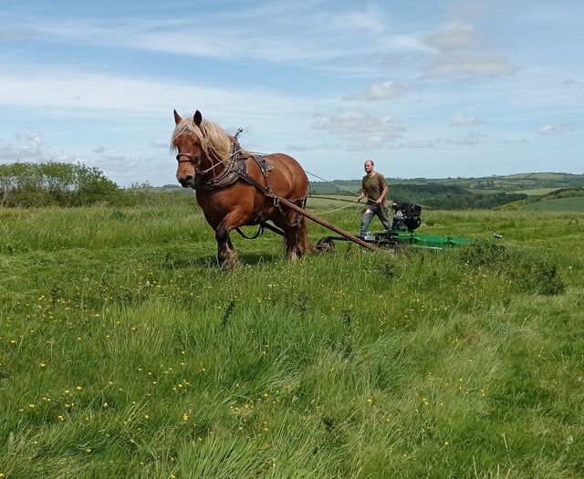 Learn about the secrets of healthy soil with working horses 