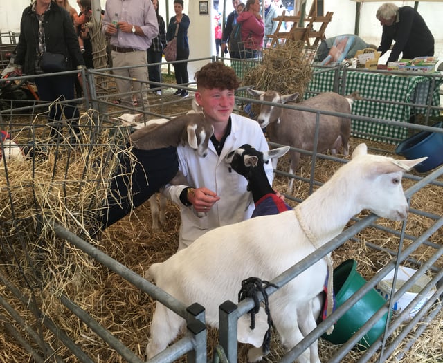 Goat breeder is a dab hand at showing