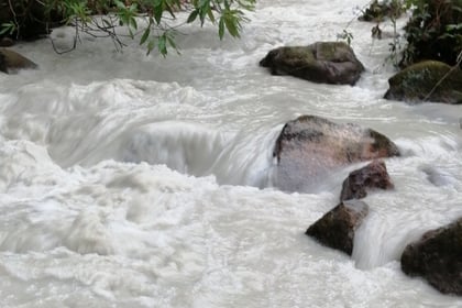 Environment Agency monitors pollution in the Rivers Yealm and Piall