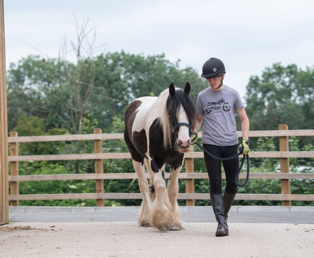 Prestigious award for Mare and Foal Sanctuary student