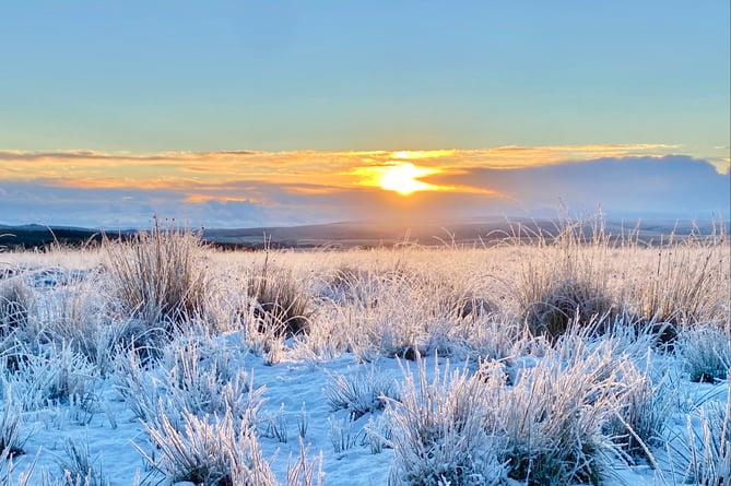 Snow near Holming Beam, Princetown