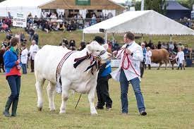 Devon County Show