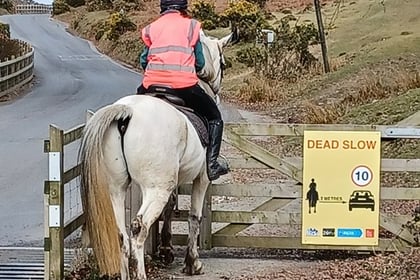 Drivers in Devon asked to 'rein' in their speed for horses 
