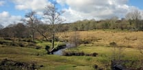 Dartmoor wild camping agreement ‘unsustainable’ claim