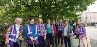 Gardening group's blooming lovely daffs bring cheer to town