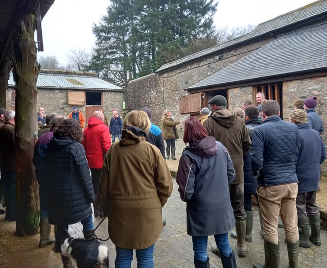 Free support sessions for Dartmoor farmers