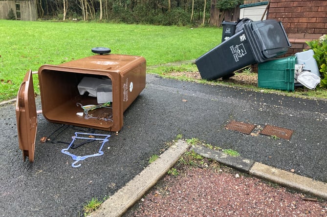 Bins overturned