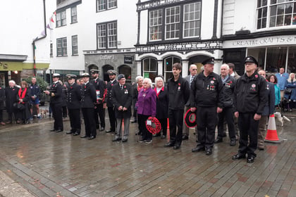 Totnes thanks given for poppy success