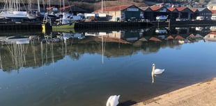 Wharf homes plan blasted 