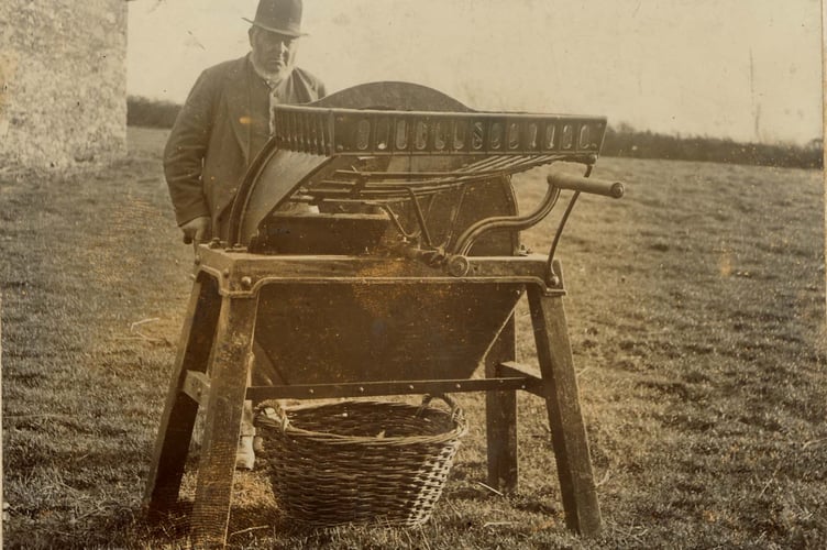 1890. Mr George Sandover, of Woolston, West Alvington, with his patent turnip cutter [designed and patented by himself in 1890) and a basket called a "maun(d )" to carry chopped turnip.
