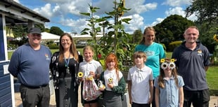 Tallest sunflower competition set to return