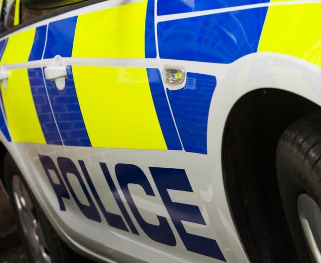 Police arrest two more men following Ivybridge fight