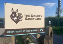 Financial challenges force closure of Ivybridge Donkey Sanctuary