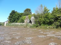 A silver jubilee visit to the salt marshes | Nature Diary 