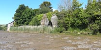 A silver jubilee visit to the salt marshes | Nature Diary 