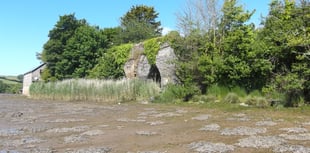 A silver jubilee visit to the salt marshes | Nature Diary 