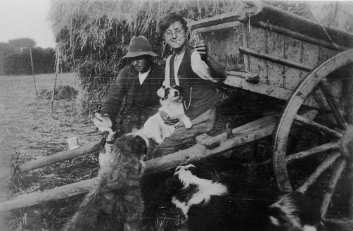 Higher Coombe Farm, East Allington - Two farm workers enjoying a drink on hay carts with dogs.