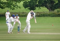 Tolchards Devon Cricket League weekend preview 29/6