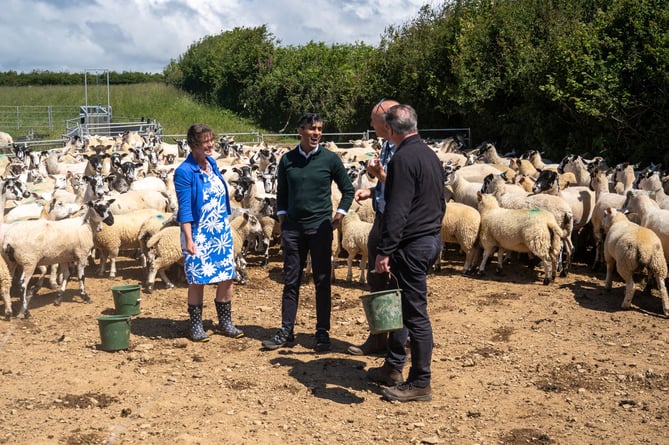 18/06/24 - Barnstaple, Devon. Prime Minister Rishi Sunak, Selaine Saxby, and David Cameron visit Chuggs Farm to hold a Q&A with farmers. Picture by Edward Massey / CCHQ