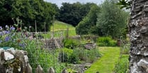 Town Council wants to unite gardeners with garden owners