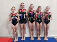 Devon Gymnastics' Championships