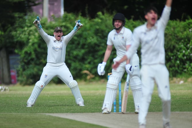 Devon Cricket League B Division Bovey Tracey 2nd XI versus Chudleigh 1st XI. A bad day out for Chudleigh who despite mananging to get Bovey all out for 139, found themselves decimated by the Bovey bowling and were all out for 52 after 20.5 overs, Bovey 'keeper Joseph Forey delighted at Chugleigh's Matt Heather is dismissed lbw off a ball from Jack Ansley.