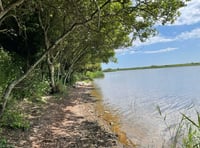 Slapton Ley to celebrate nature next month