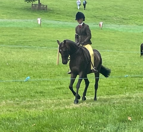  Yealmpton Show 2024