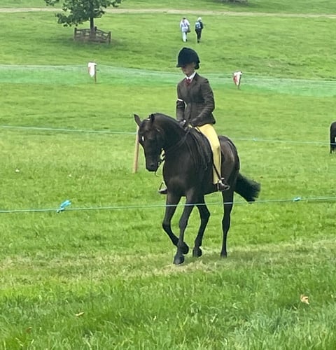  Yealmpton Show 2024