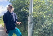 Driver blames council for lamppost damage to his pick up