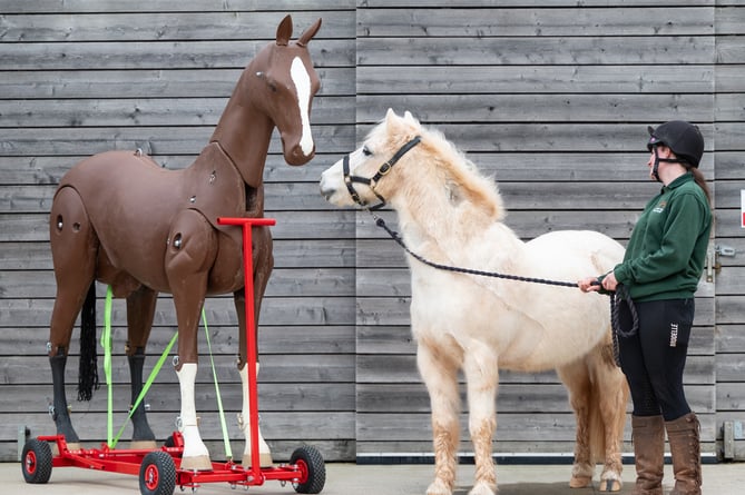 The special mannequin is designed to train emergency crews in critical horse rescue situations