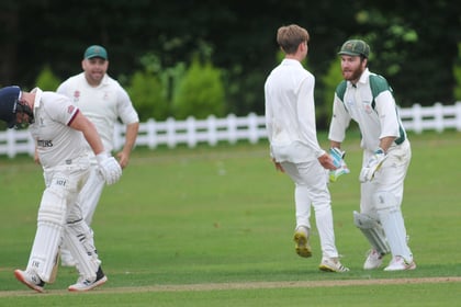 Tolchards Devon Cricket League weekend preview 17/08