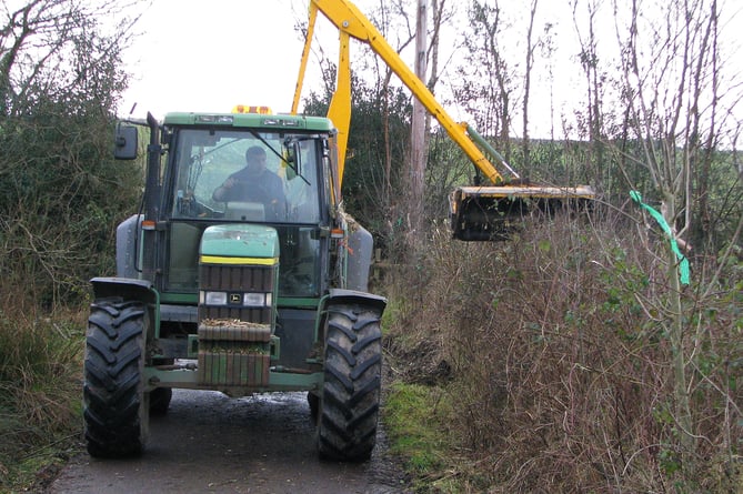 Hedge cutting