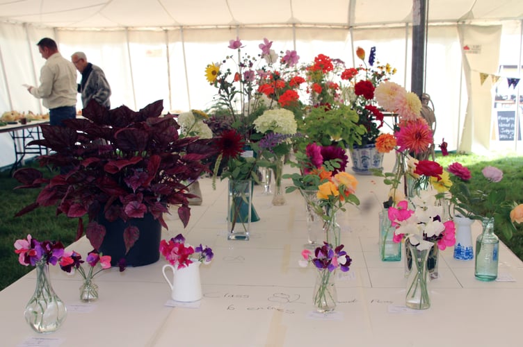 A display of flowers at Stoke Fleming Annual Show