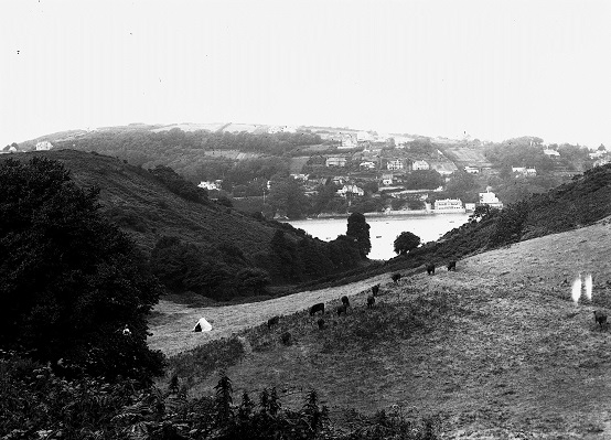  Salcombe - Millbay Valley