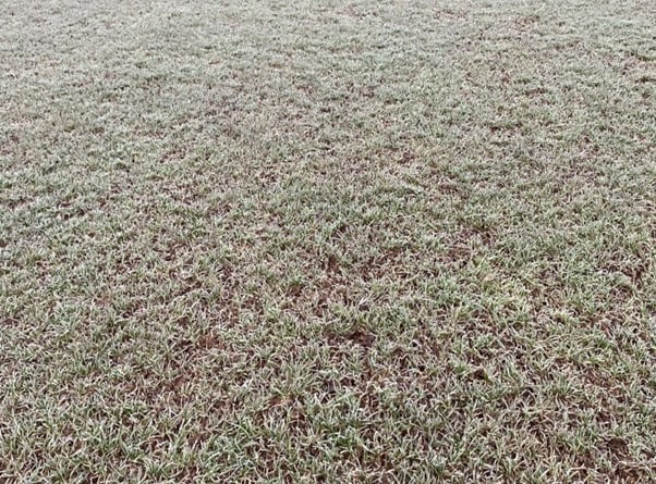 Alphington AFC frozen pitch