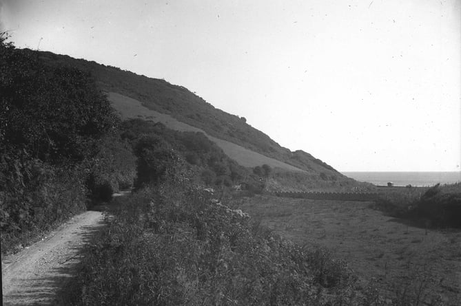 Approach to Lannacombe Bay'. 
View seaward along lane in valley bottom.