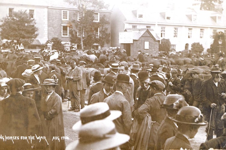 August 1914. Buying horses for WW1, shows a large crowd of people and horses on Quay area, Kingsbridge.