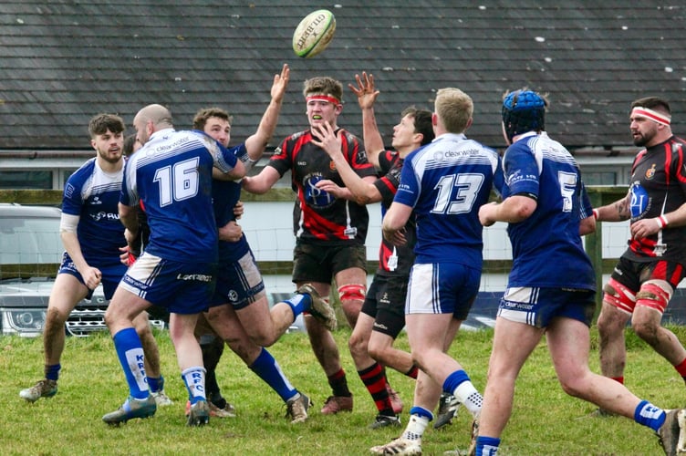 The ball go loose in the match between Tavistock RFC v Kingsbridge